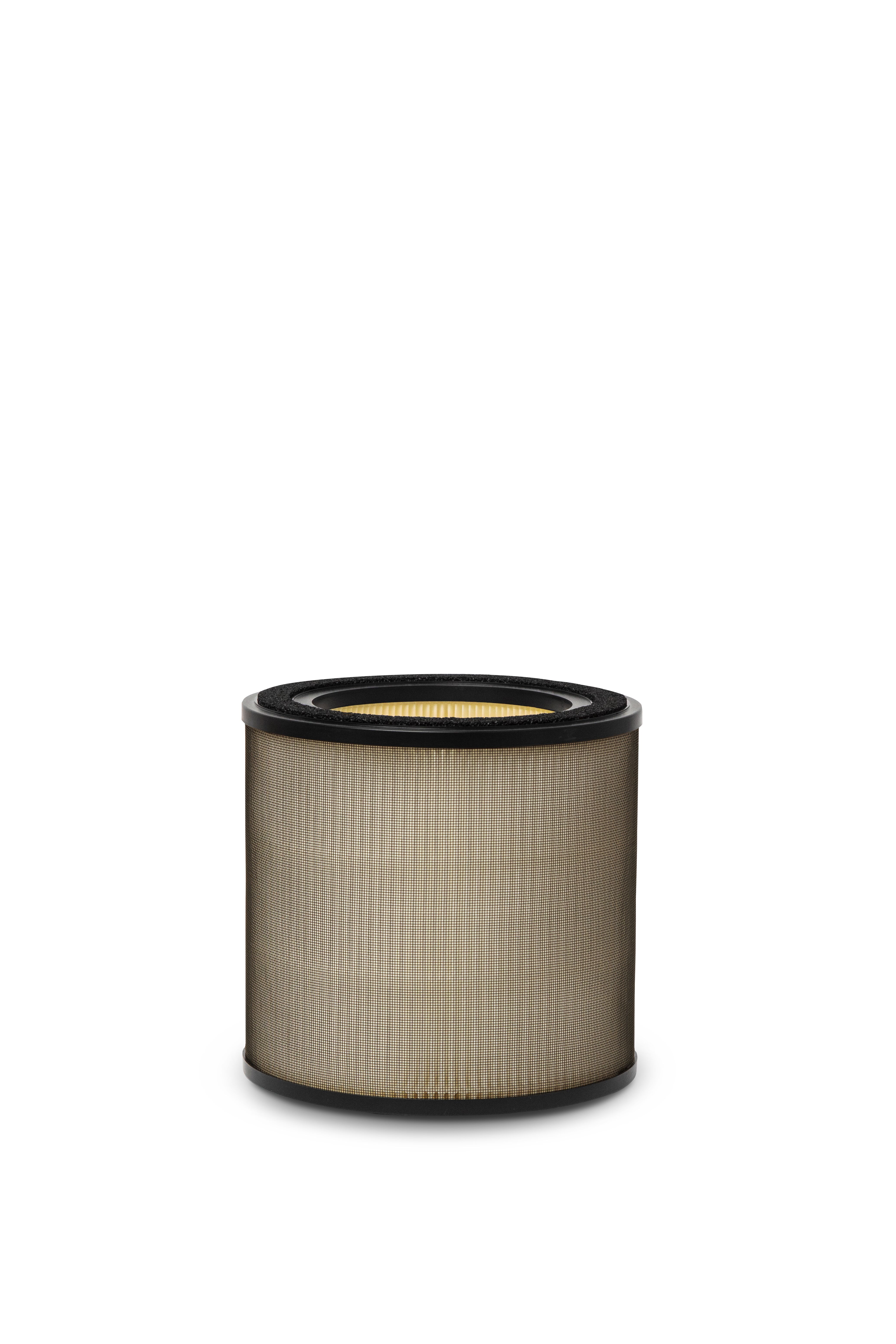 Electrolux EFFBTH2 Zubehör Breathe  zu Luftreiniger Pure 300+500 (Pollen)